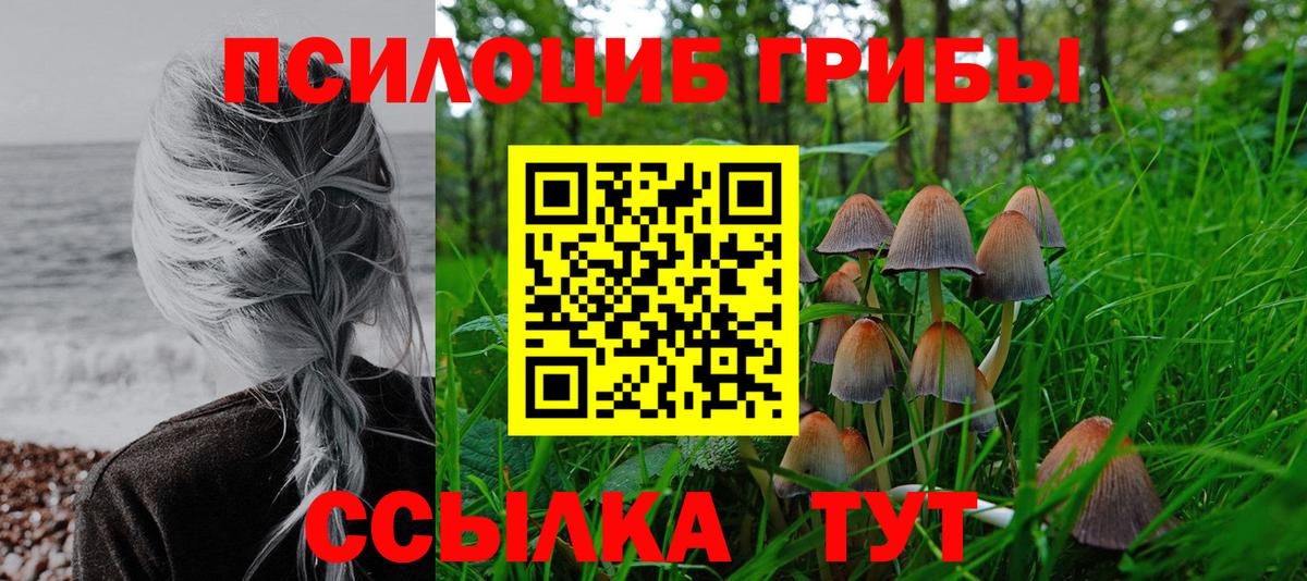 Галлюциногенные грибы Psilocybine cubensis Удомля