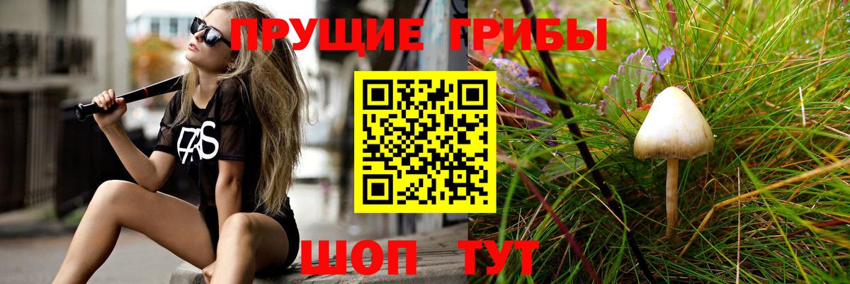 Удомля  Псилоцибиновые грибы Magic Shrooms  Вход с VPN  Галлюциногенные грибы Psilocybine cubensis 